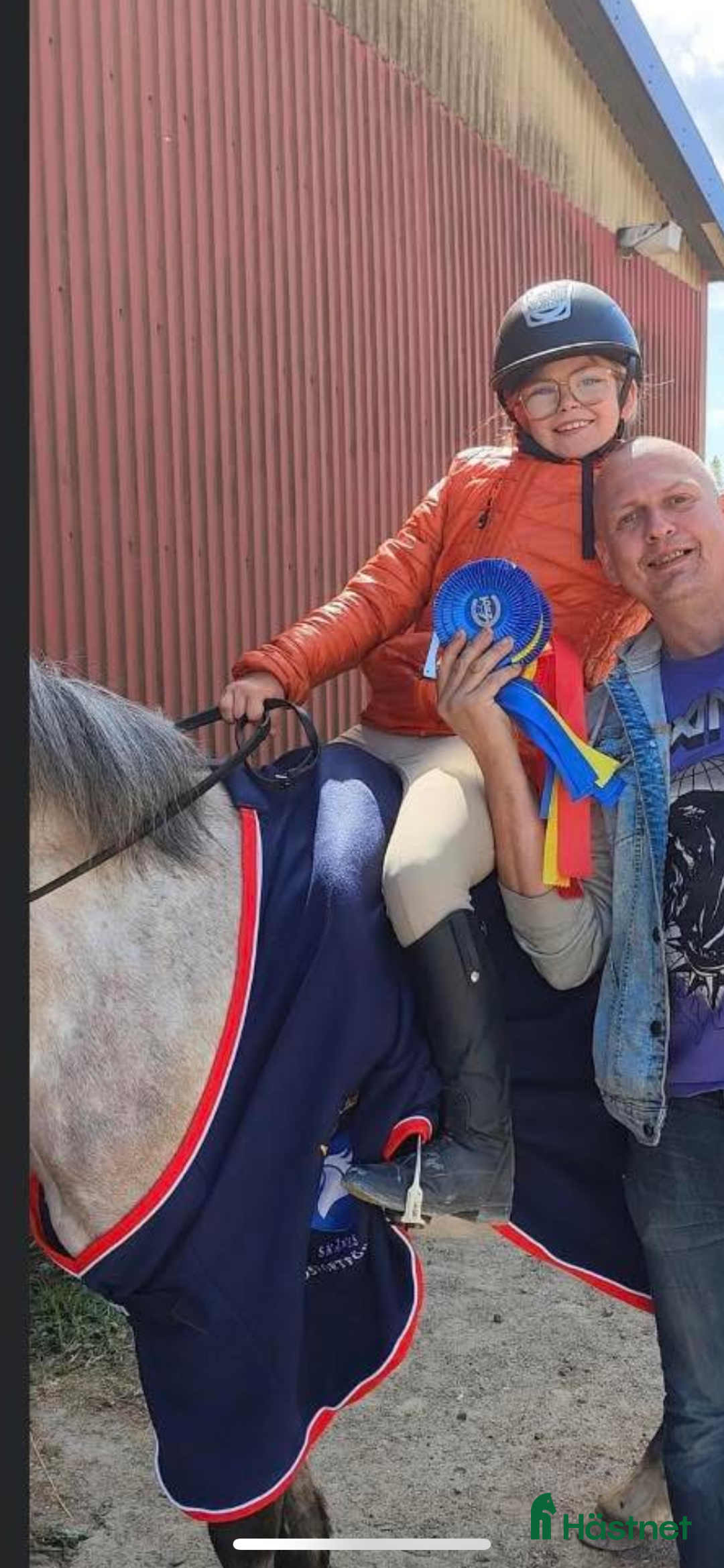 Allround hästar till salu: Fin B-ponny / tävlings ponny i Kävlinge - Annons 3