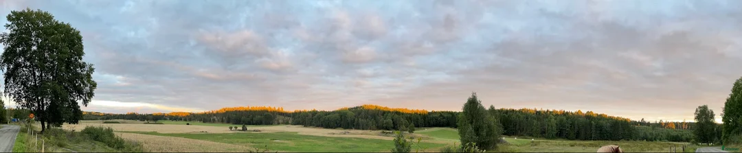  stallplats finnes: Plats ledig i vår islandshästflock på Bogesund i Åkersberga - Annons 3