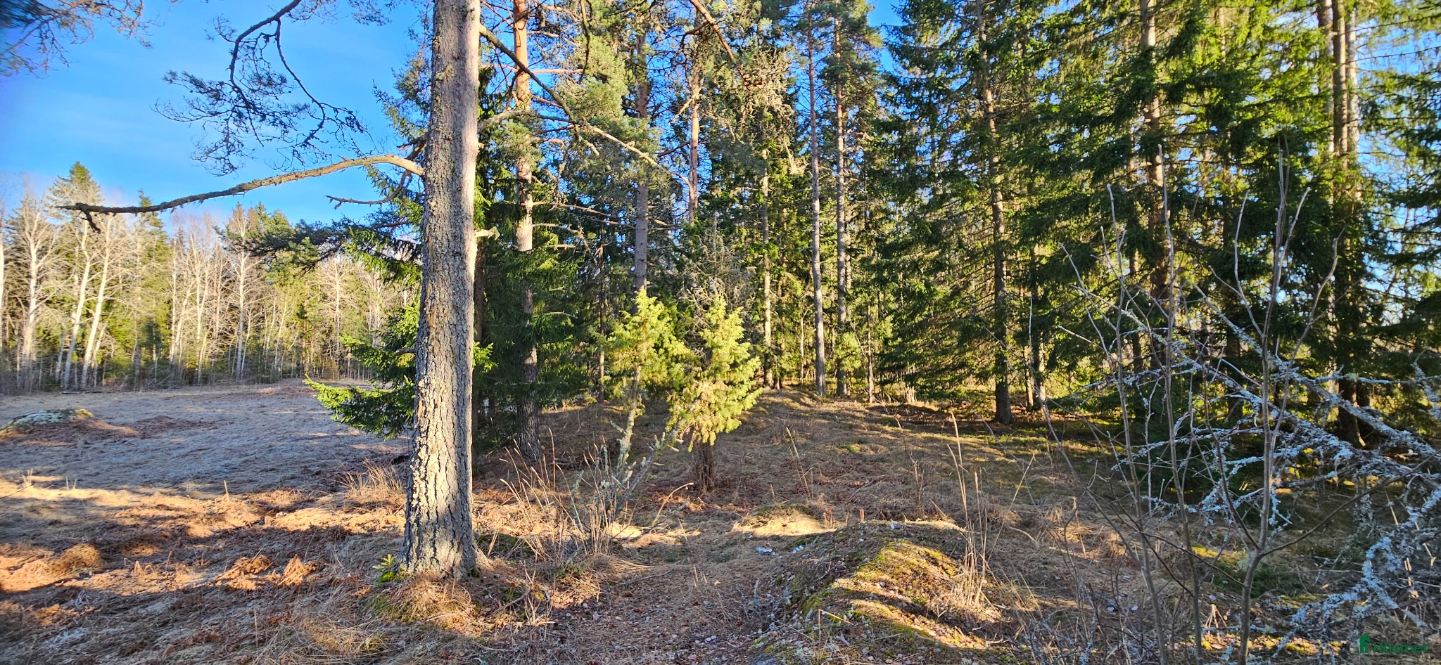  hästar Ridtravare sökes - Annons 8