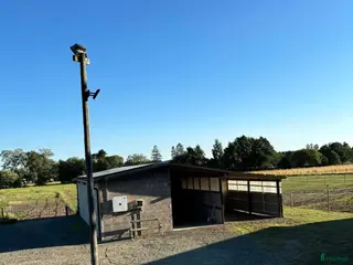 stallplats Lediga stall och lösdriftplatser! i Gärds Köpinge - Annons 4