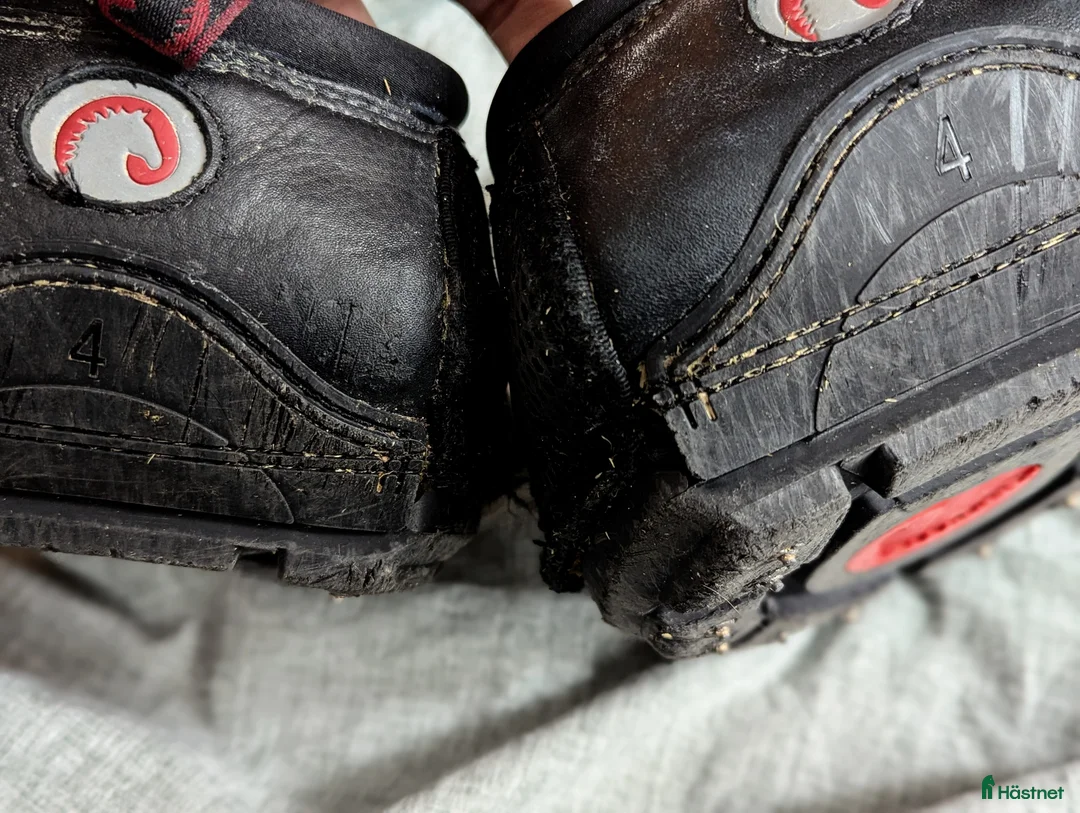 Övrig Hästutrustning hästutrustning till salu: Cavallo Trek 4  i Trångsund - Annons 3