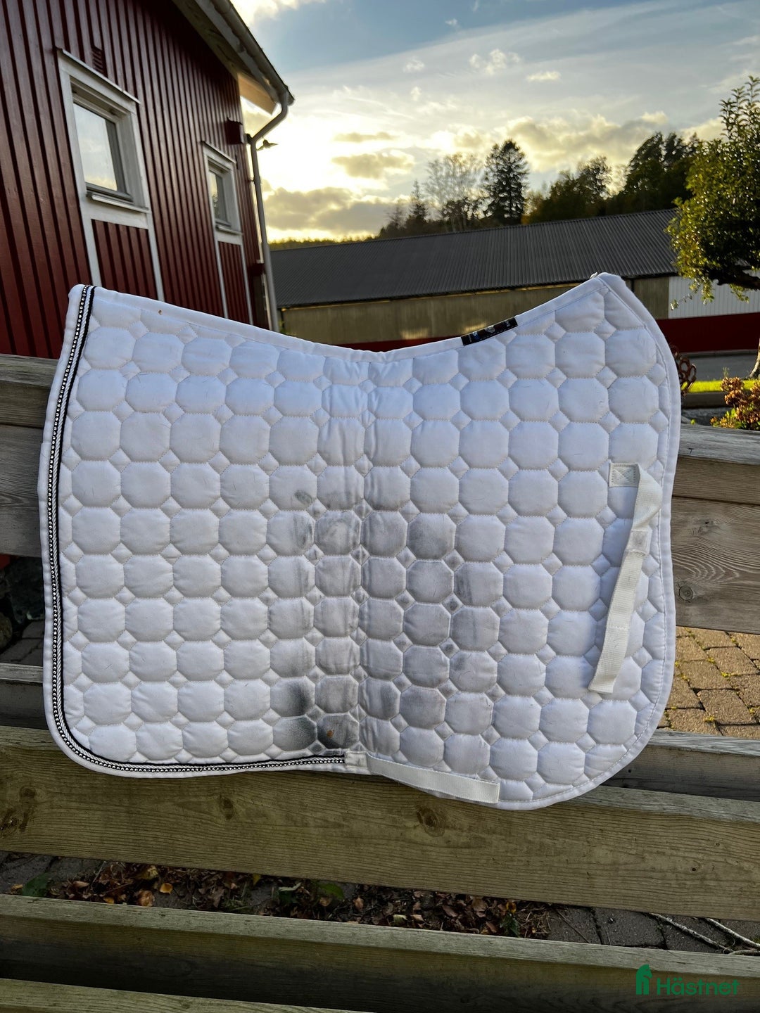 Schabrak & Vojlockar hästutrustning till salu: Fina Equiline dressyrschabrak och huvor  i Kungsbacka - Annons 5