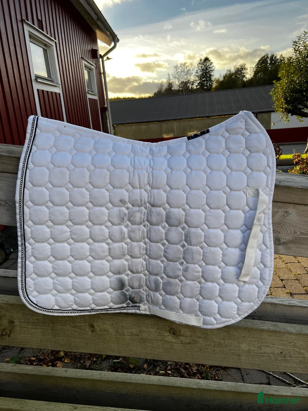 Schabrak & Vojlockar hästutrustning till salu: Fina Equiline dressyrschabrak och huvor  i Kungsbacka - Annons 5