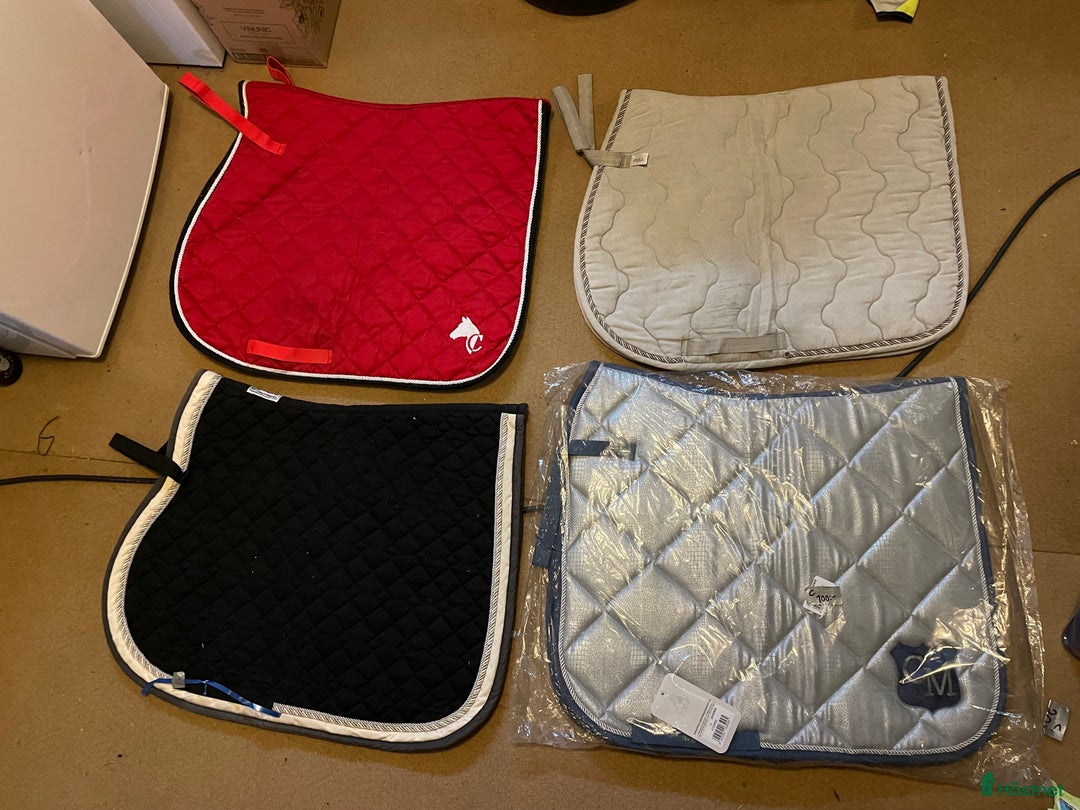 Schabrak & Vojlockar hästutrustning till salu: Schabrak, begagnade och nya  i Vallberga - Annons 4