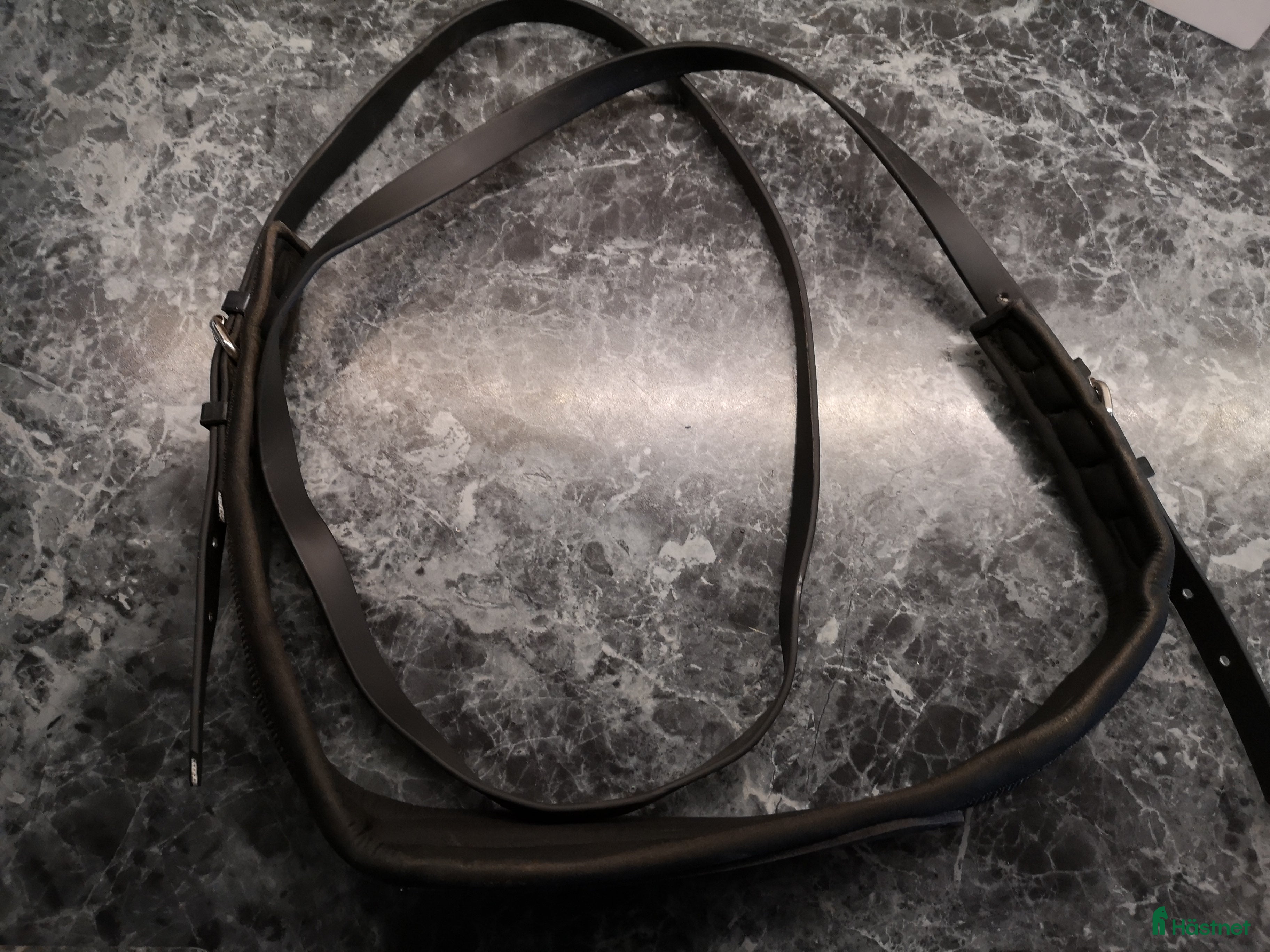 Övrig Hästutrustning hästutrustning till salu: Halsring i Mora - Annons 22