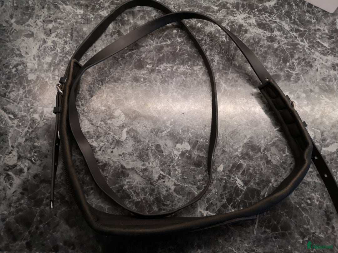 Övrig Hästutrustning hästutrustning till salu: Halsring i Mora - Annons 1