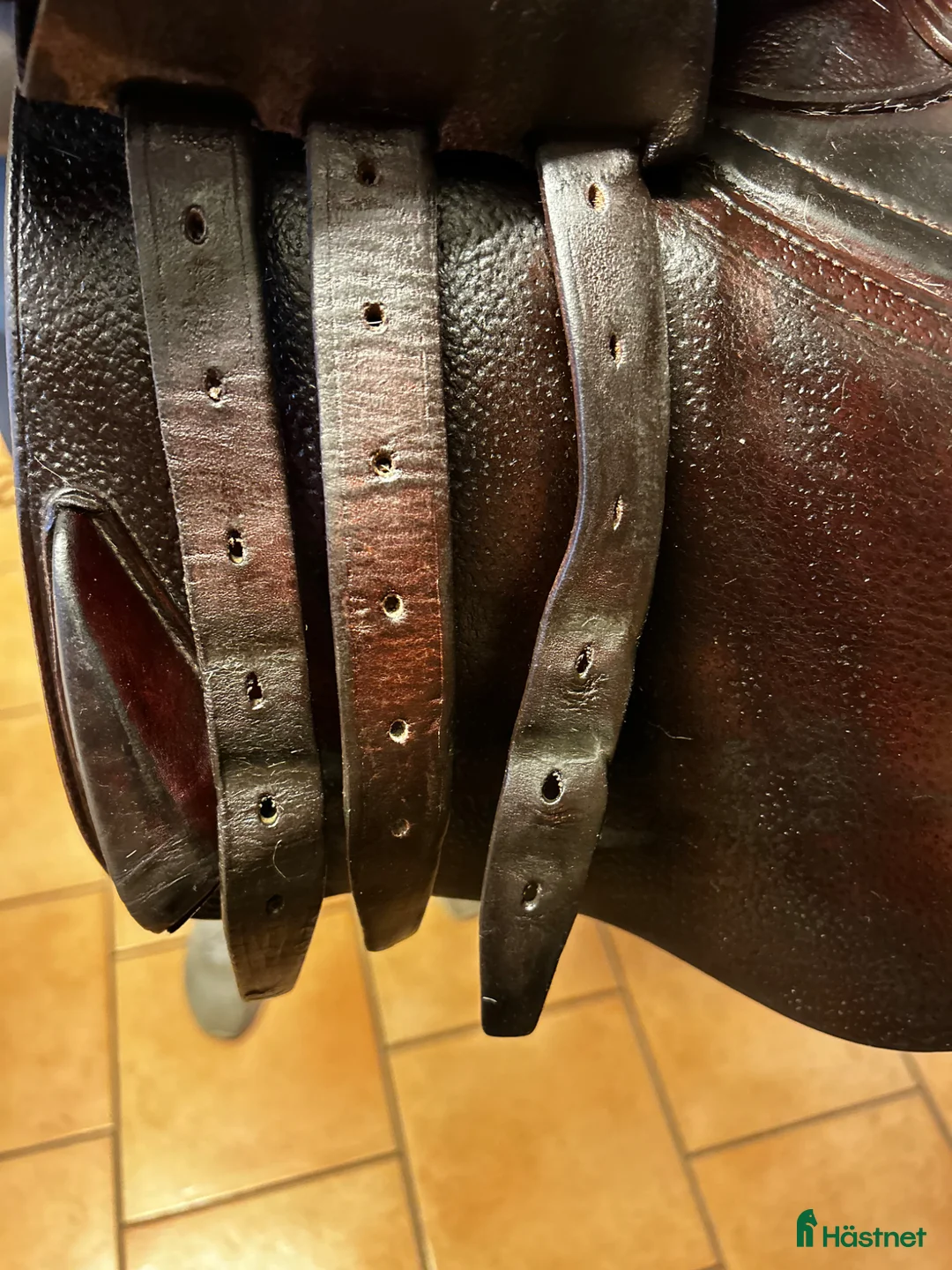 Sadlar hästutrustning till salu: CWD SE02 hoppsadel till salu - Annons 5