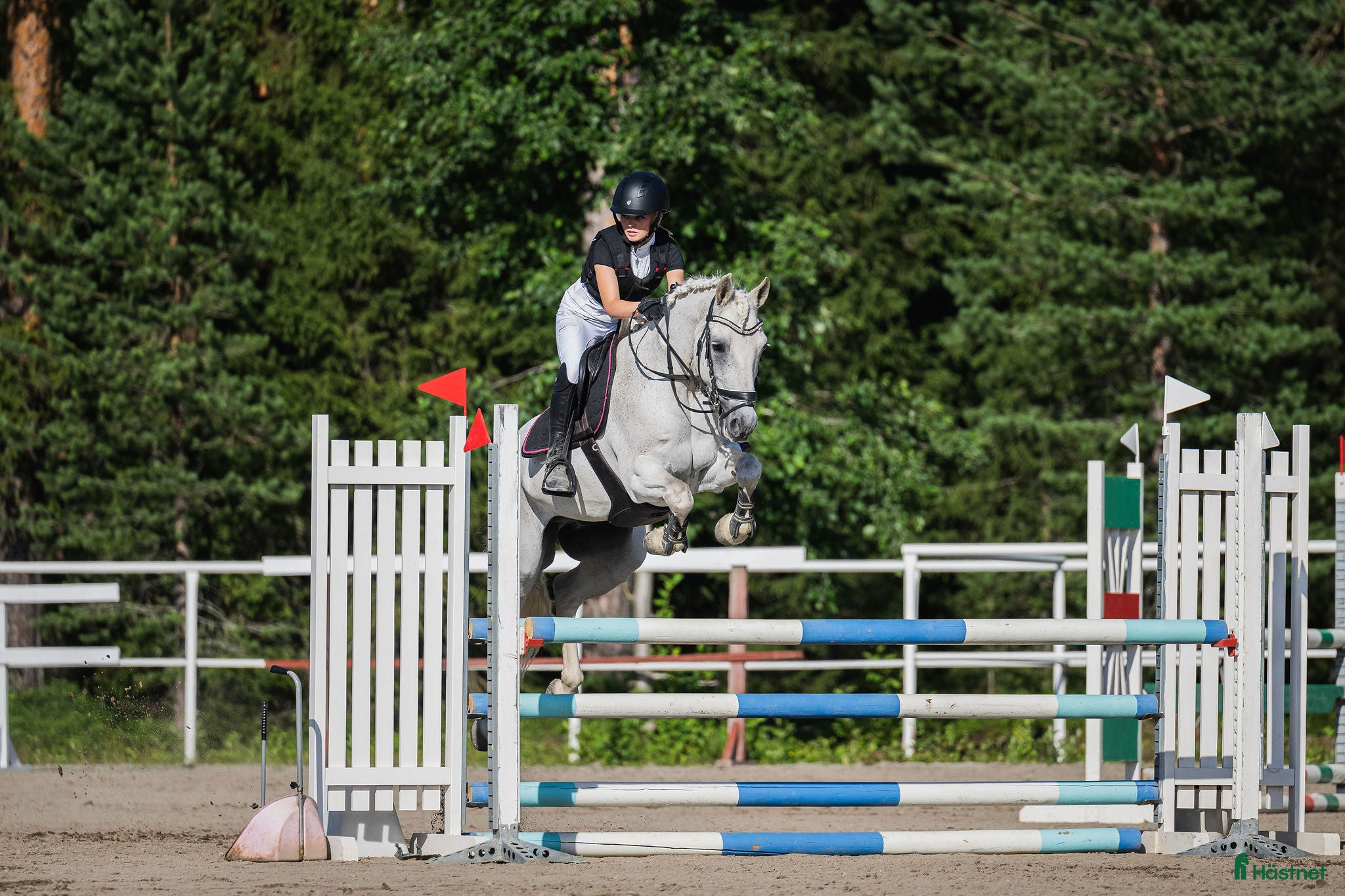  hästar D-ponny med stor kapacitet och ett hjärta av guld  - Annons 3