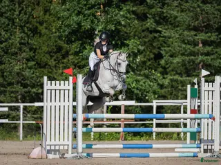 hästar D-ponny med stor kapacitet och ett hjärta av guld - Annons 11