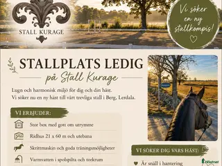 stallplats Lediga stallplats för ponny/häst - Annons 1