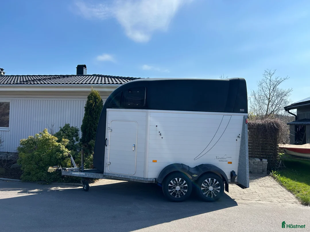 Hästtransporter  fordon & transport till salu: Humbaur Xantos Aero i fint skick!  - Annons 1