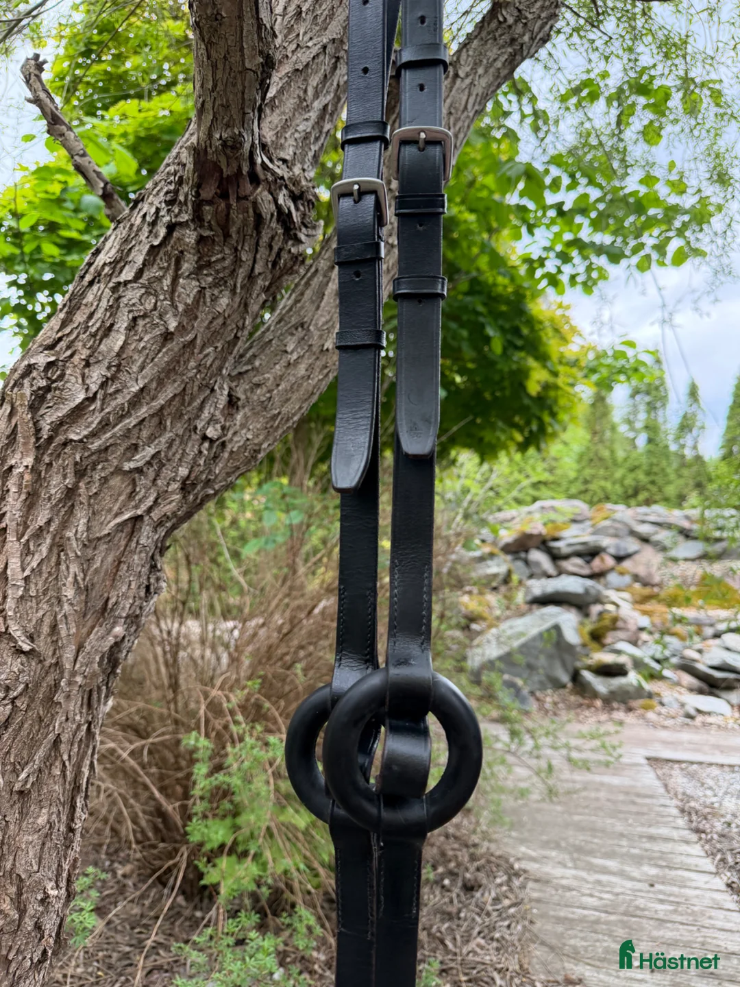Övrig Hästutrustning hästutrustning till salu: Inspänningstyglar med gummiring - Annons 2