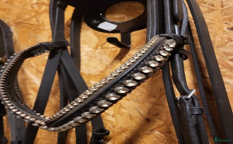 Träns hästutrustning till salu i Köping - Annons 8