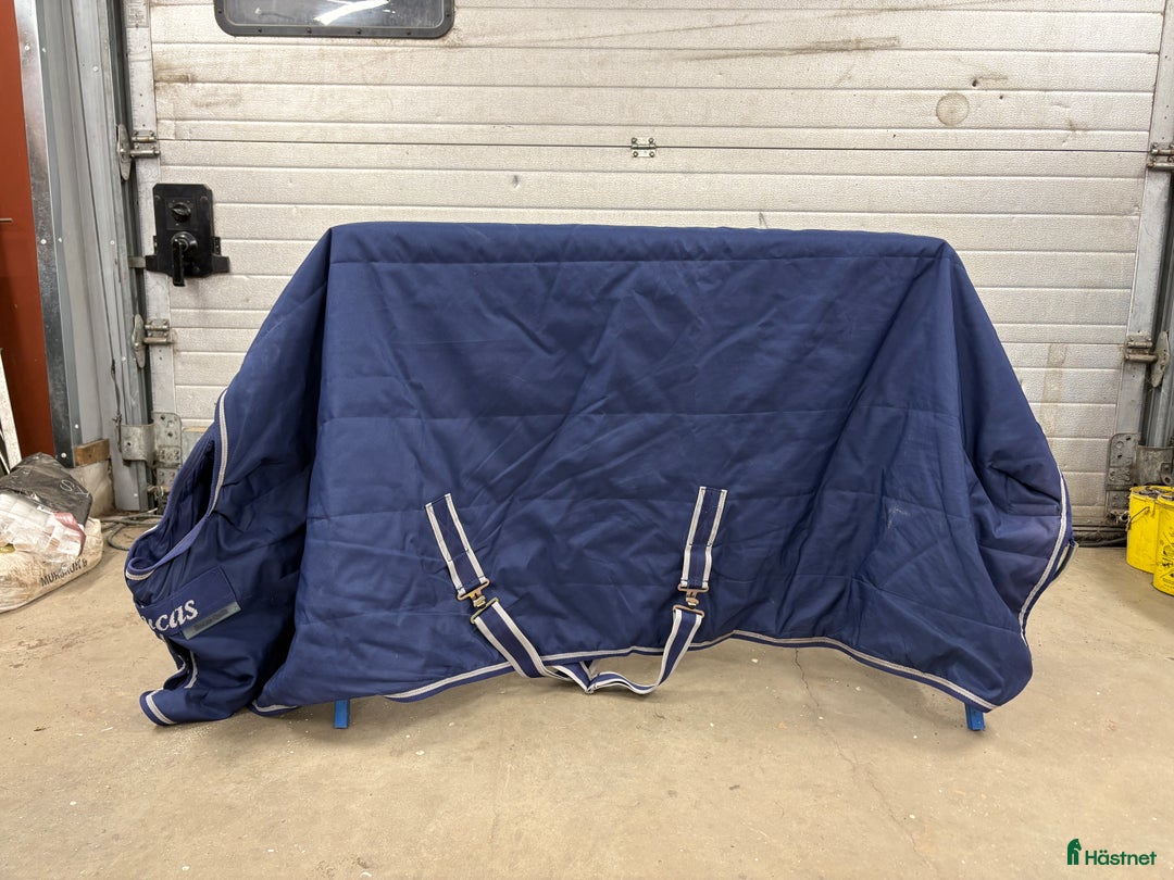Täcken hästutrustning till salu: Bucas stalltäcke 150g, 145cm i Täby - Annons 1