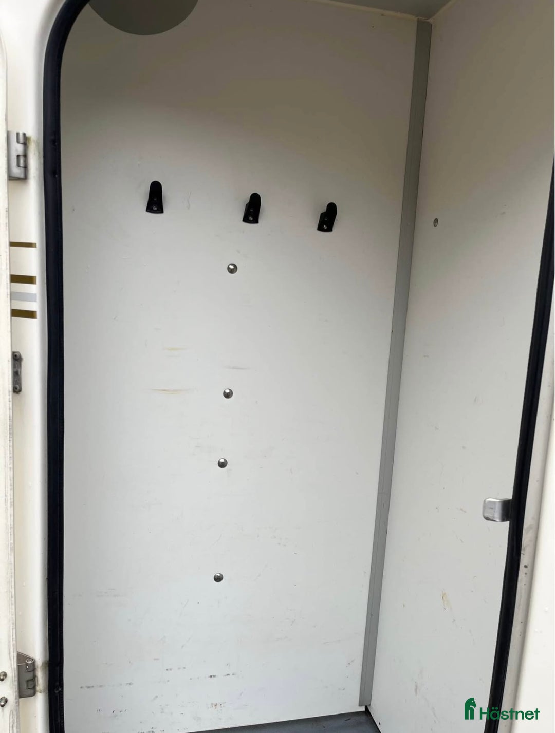 Hästtransporter  fordon & transport till salu: Forzab Cavallo i Valbo - Annons 7