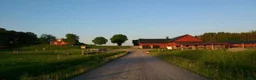  stallplats finnes: Lösdrift för sto - Annons 1