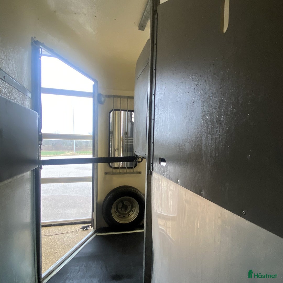 Hästtransporter  fordon & transport till salu: Välskött Fautras Provan i Kvicksund - Annons 9