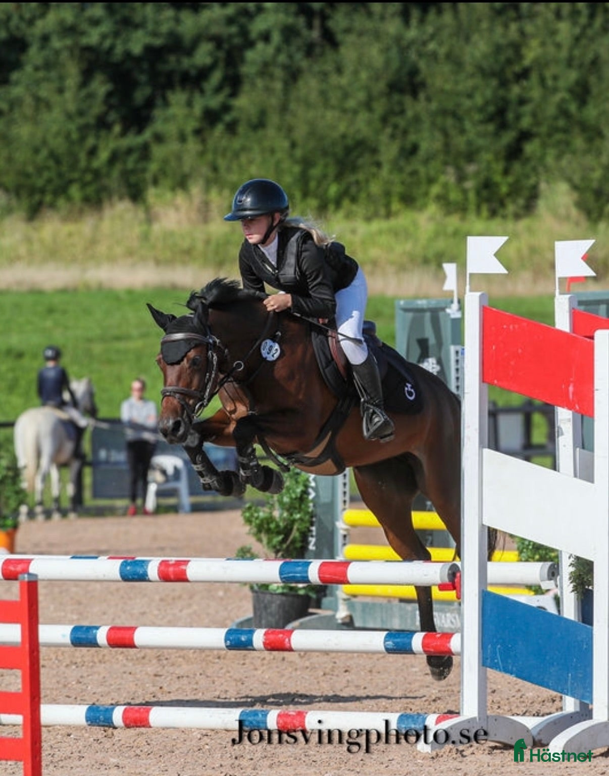  hästar Första ponny till salu - Annons 14