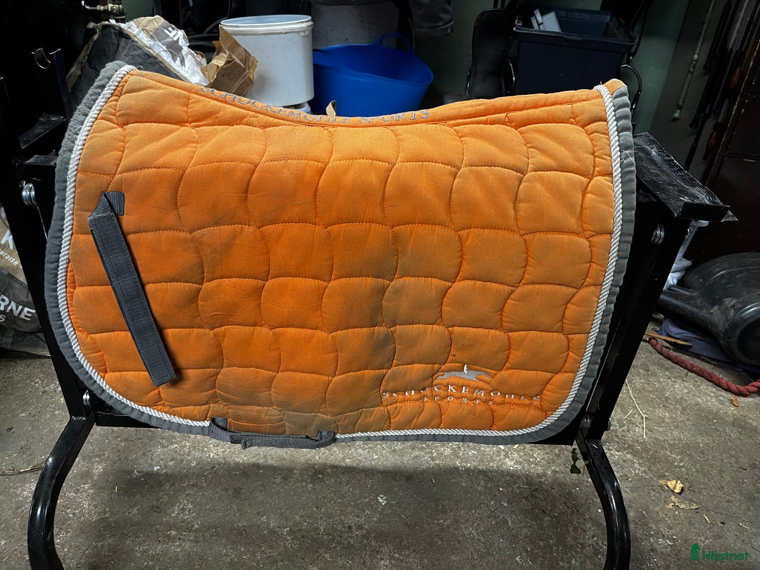 Schabrak & Vojlockar hästutrustning till salu: Fina schabrak säljes! i Jonsered - Annons 2