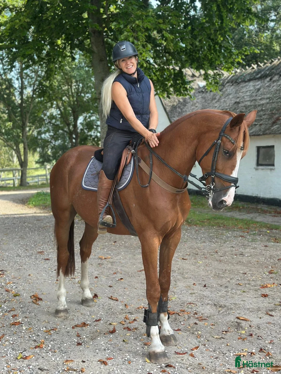 Galleribild {{count}}