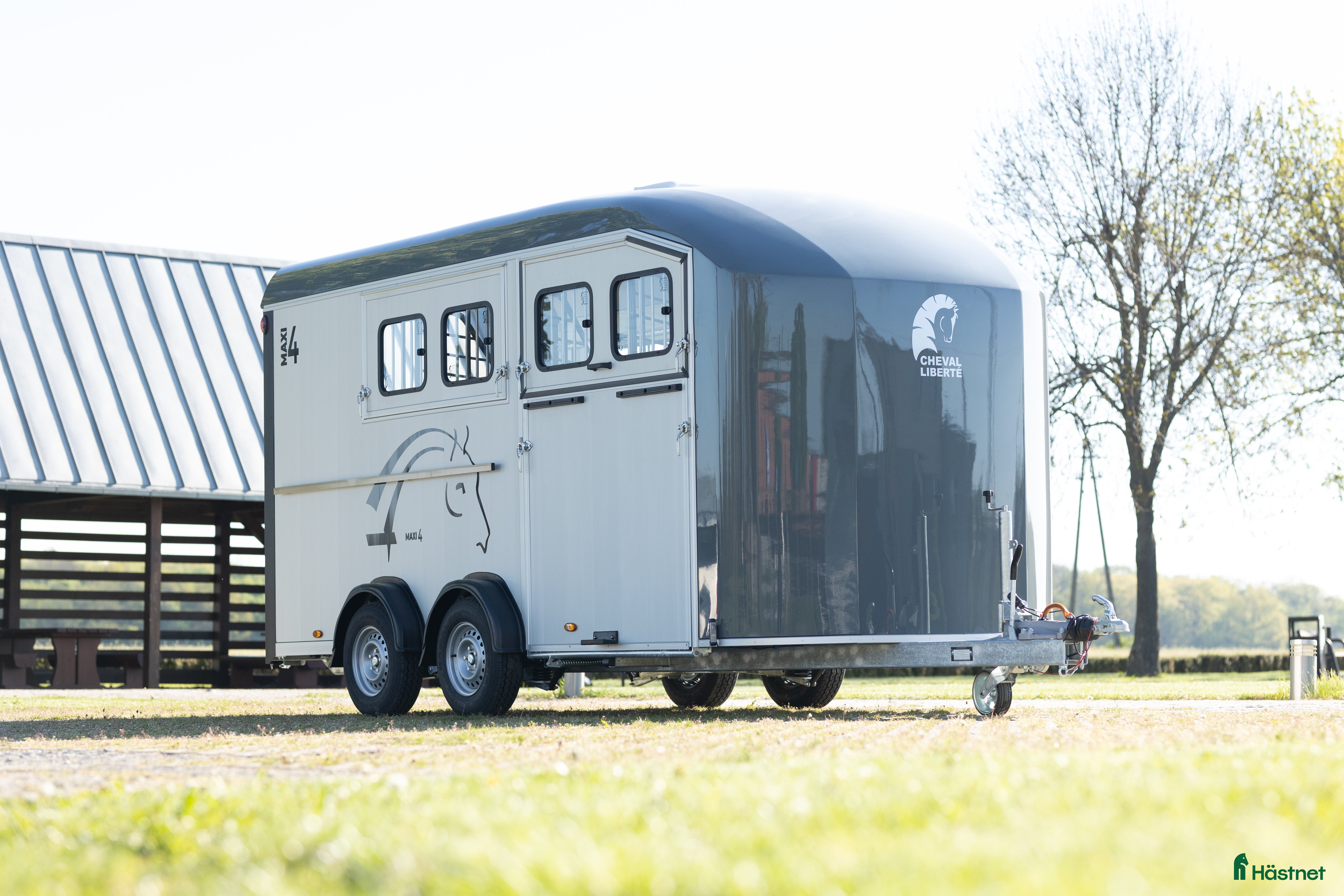 Hästtransporter  fordon & transport till salu: Cheval Liberté Maxi 4 Diagonallastad - Annons 18