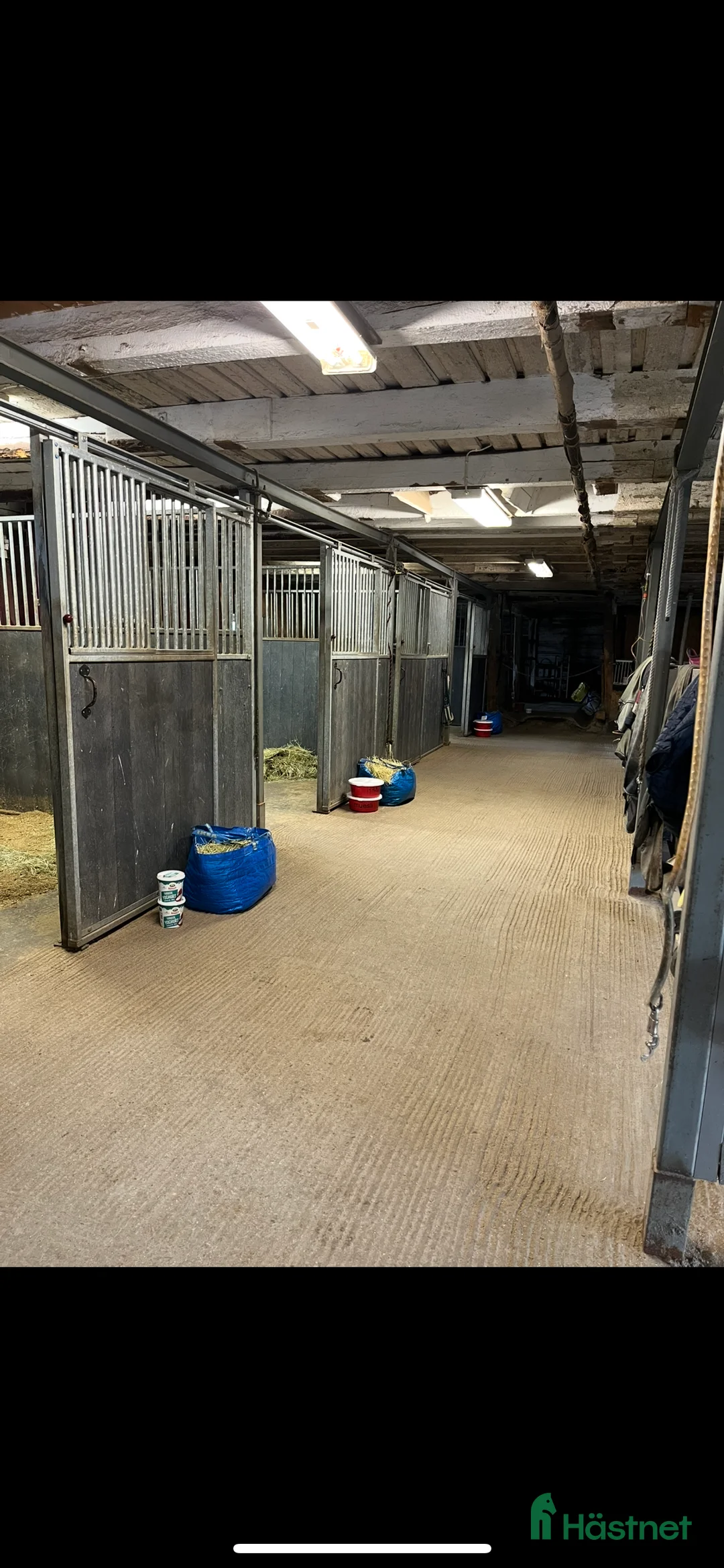  stallplats finnes: Två stallplatser lediga i Märsta - Annons 2