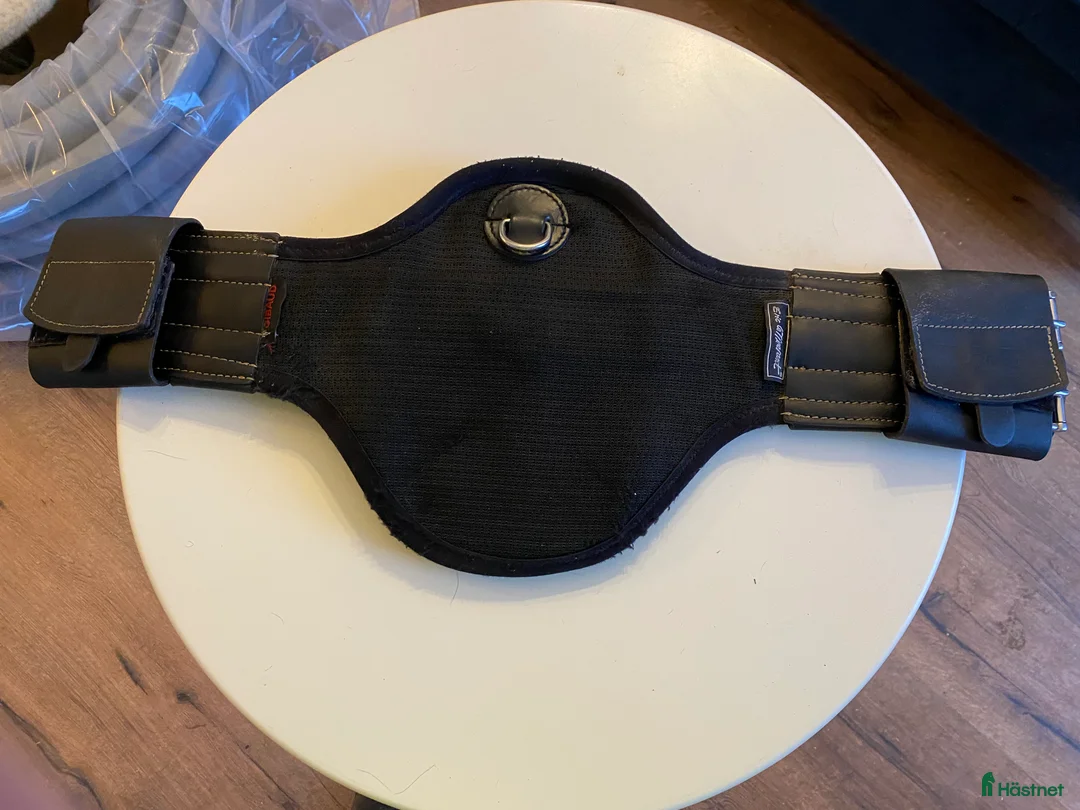 Sadeltillbehör hästutrustning till salu: Eric le Tixerant Dressyrgjord - Annons 1