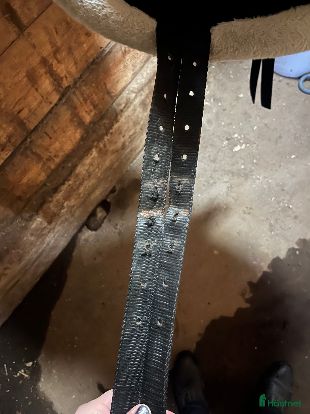 Övrig Hästutrustning hästutrustning till salu: Barbackapad i Håcksvik - Annons 3