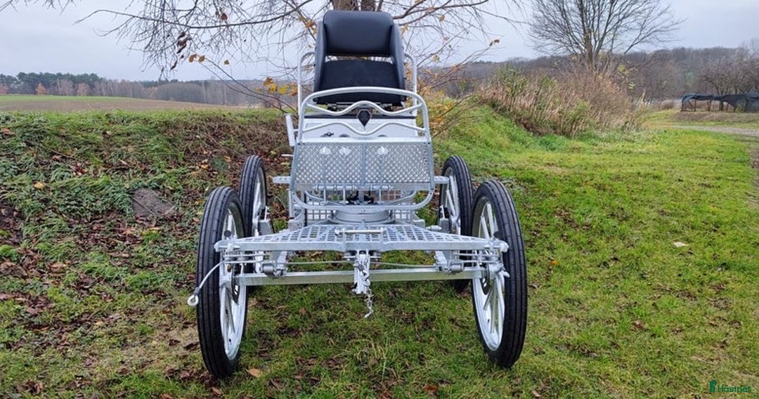 Körvagnar körning till salu: LEHEL foc träningsvagn par/enbet i Blentarp - Annons 2