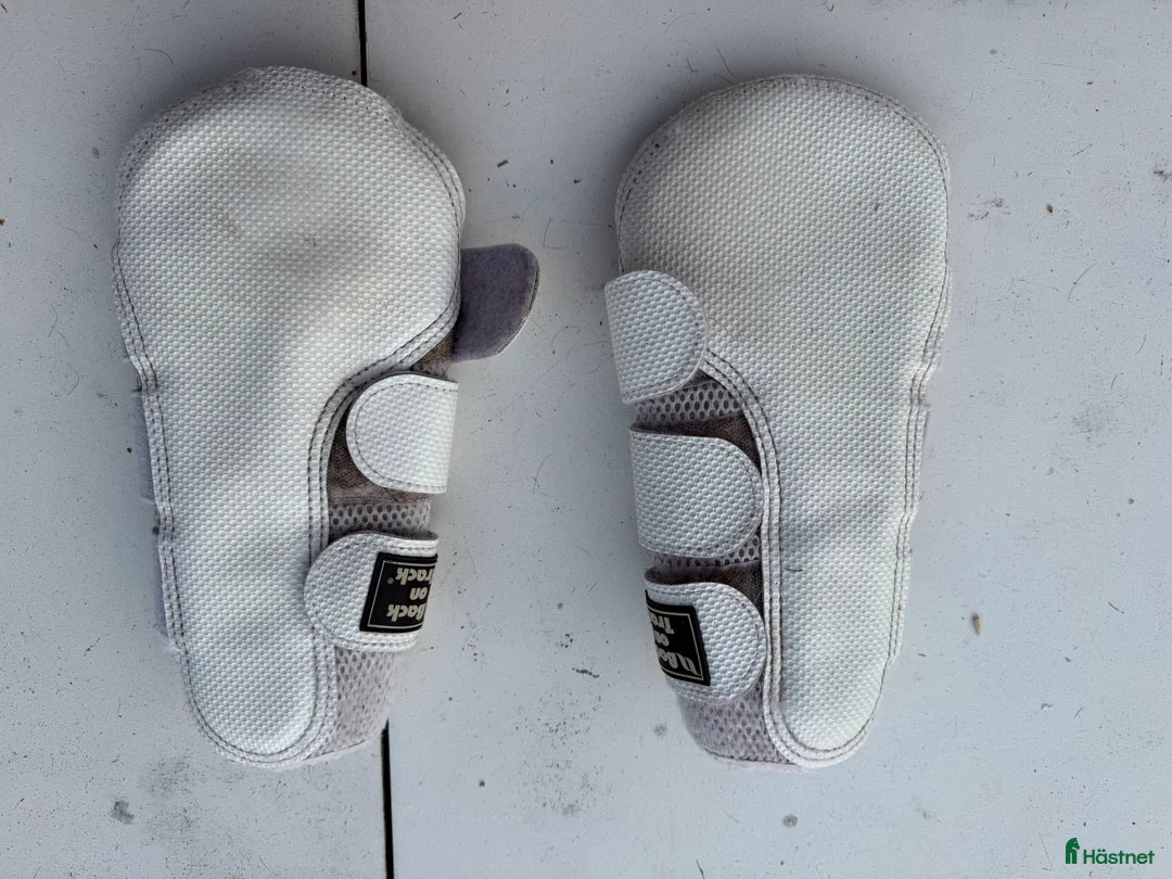 Benskydd hästutrustning till salu: Sadelkammarrensning Benskydd Hagskydd i Linköping - Annons 2