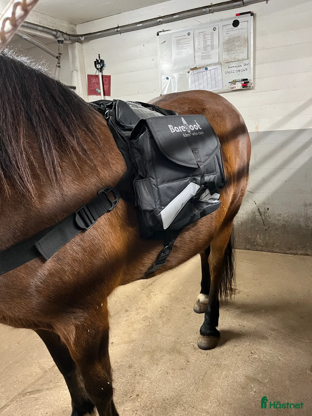 Övrig Hästutrustning hästutrustning till salu: Barefoot- Walk my horse ryggsäck  - Annons 5