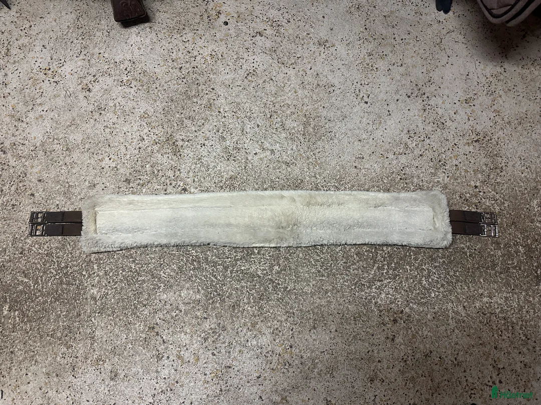 Sadeltillbehör hästutrustning till salu: Fluffig sadelgjord  - Annons 2