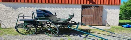 Körvagnar körning till salu: Maratonvagn - Annons 1