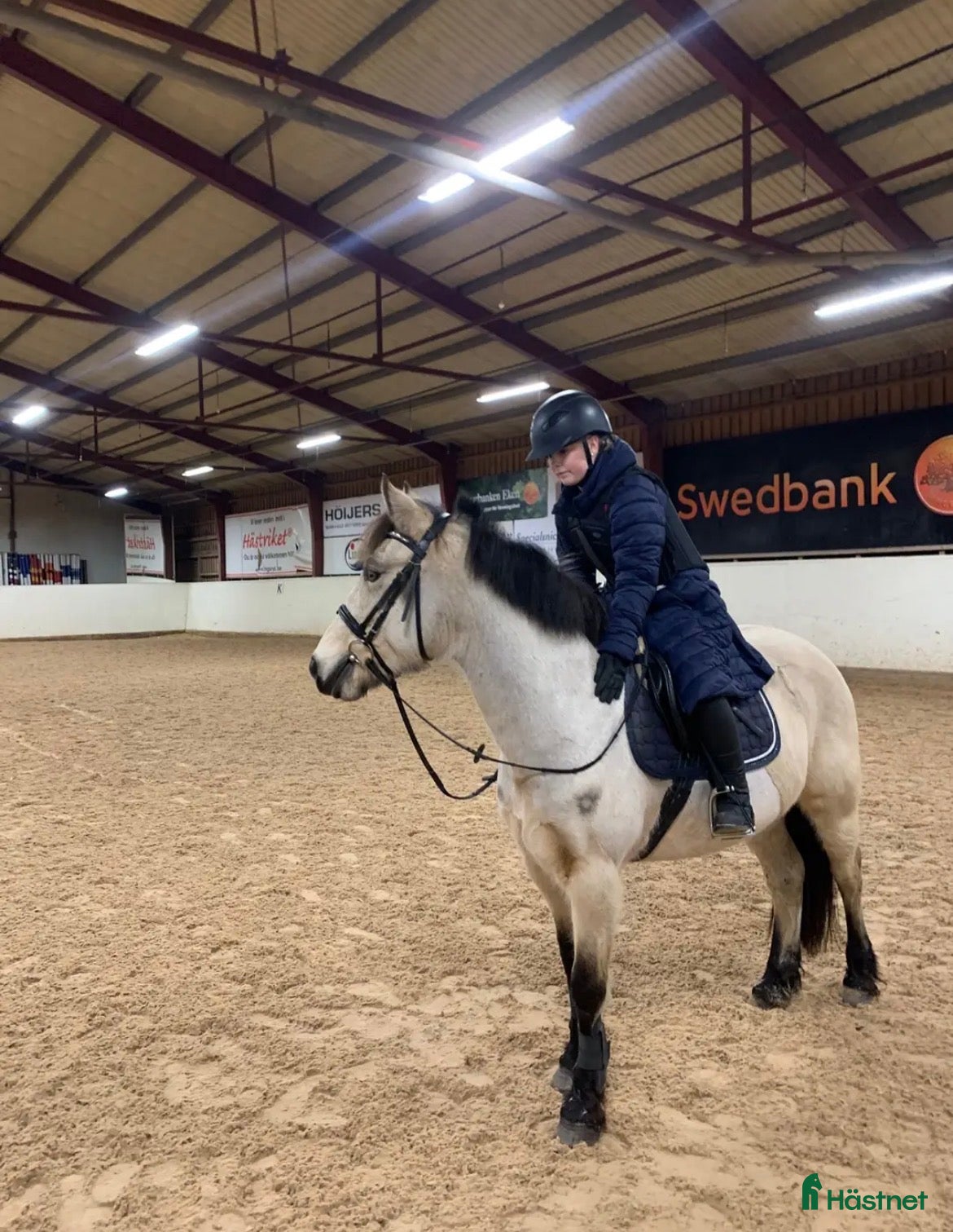  hästar Medryttare/Fordervärd häst sökes - Annons 6