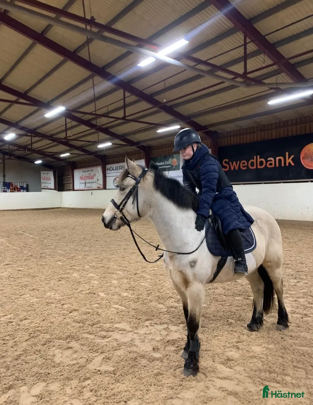 Allround hästar sökes: Söker foderhäst - Annons 2