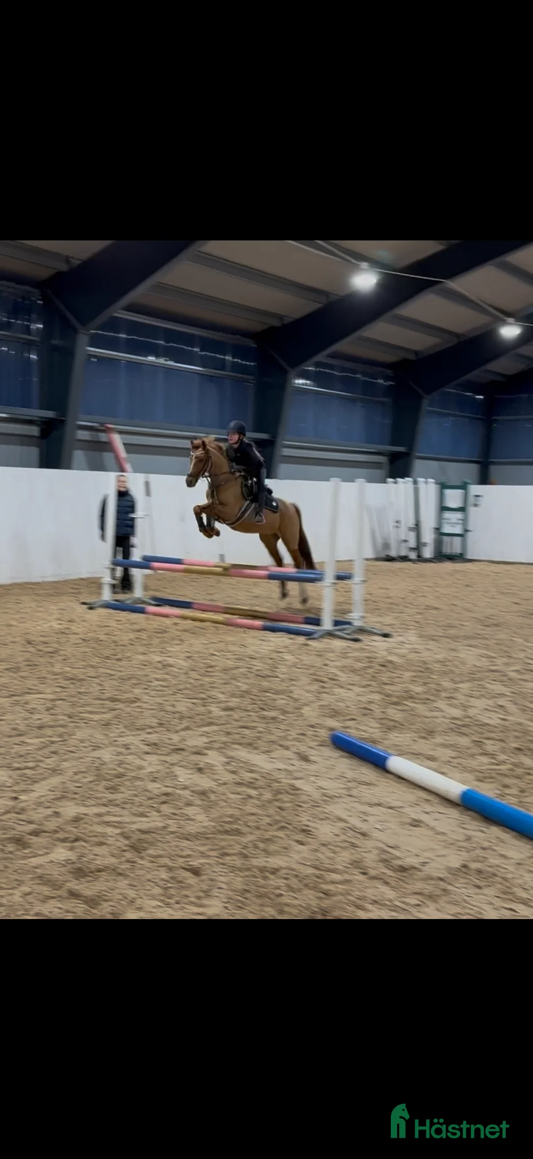  hästservice finnes: Utbildning och inridning av ponnyer i Nykvarn - Annons 1