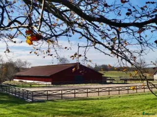 hästjobb Praktikplats i Knislinge - Annons 17