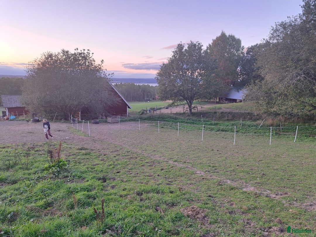  stallplats finnes: Stallplats i Jönköping - Annons 8