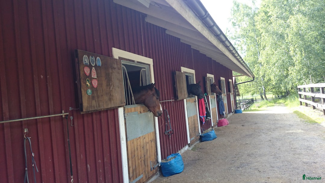  stallplats finnes: Stall platser lediga  i Nykvarn - Annons 1