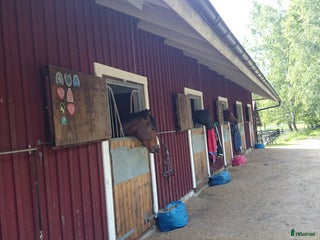 stallplats finnes: Stall platser lediga i Nykvarn - Annons 2