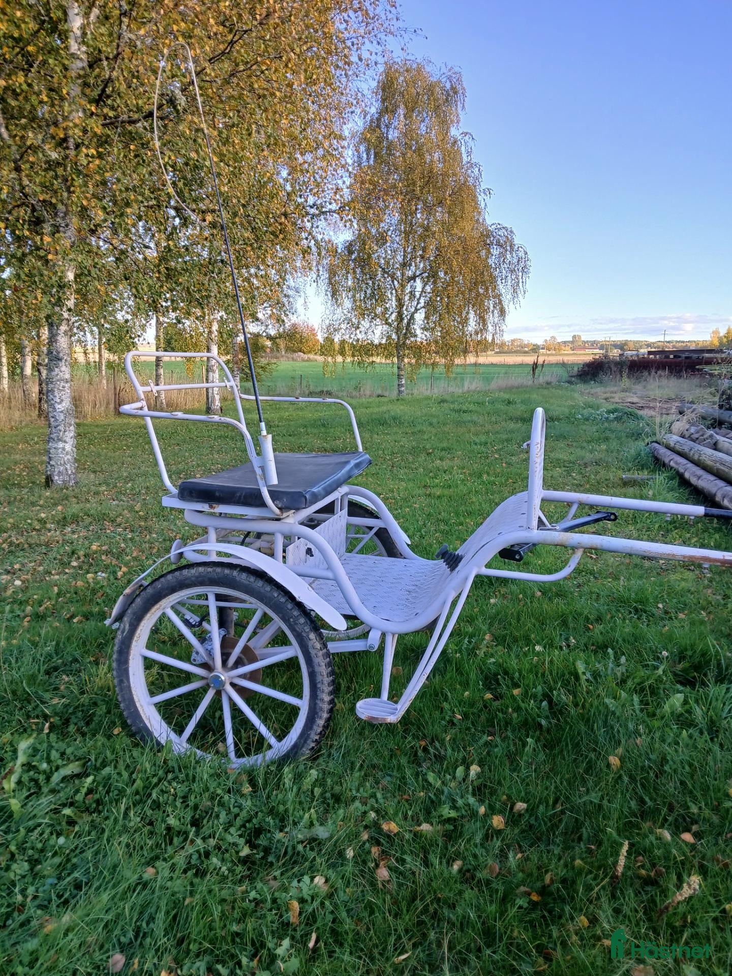 Körvagnar körning till salu: Gigg och sele - Annons 1