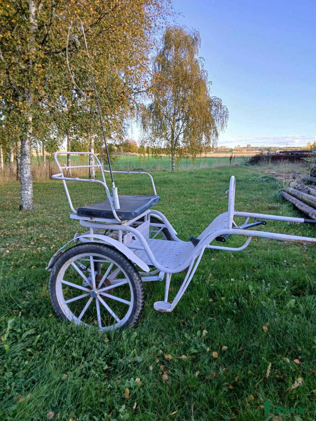 Körvagnar körning till salu: Gigg och sele - Annons 1