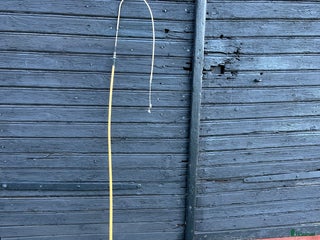 Övrig utrustning övrig utrustning till salu: Spö till longering/tömkörning/körning i Knutby - Annons 3