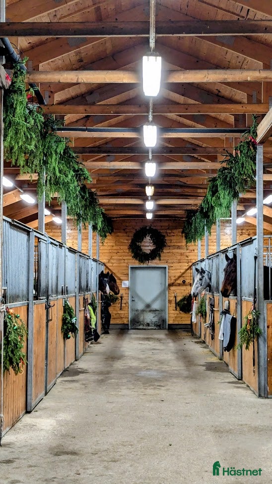  stallplats finnes: Stallplats i Tullinge för lättfödd ponny/häst - Annons 8
