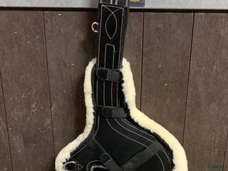 Sadeltillbehör hästutrustning till salu: Magplatta och gjordskydd i Olofstorp - Annons 4