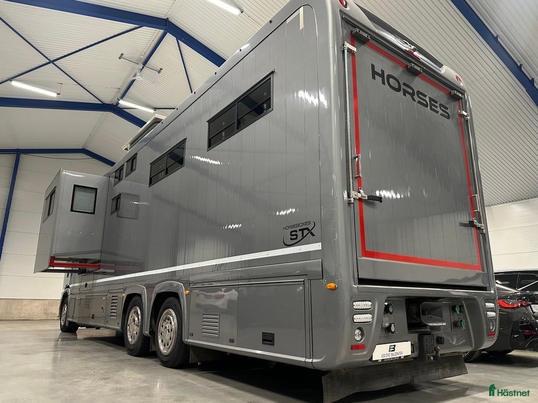 Hästlastbilar  fordon & transport till salu: Scania Stephex STX S500 Hästlastbil / Pop-X2 / i Eslöv - Annons 3