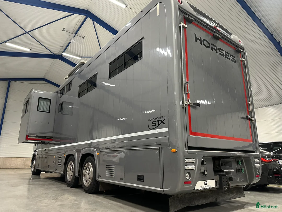 Hästlastbilar  fordon & transport till salu: Scania Stephex STX S500 Hästlastbil / Pop-X2 / i Eslöv - Annons 3