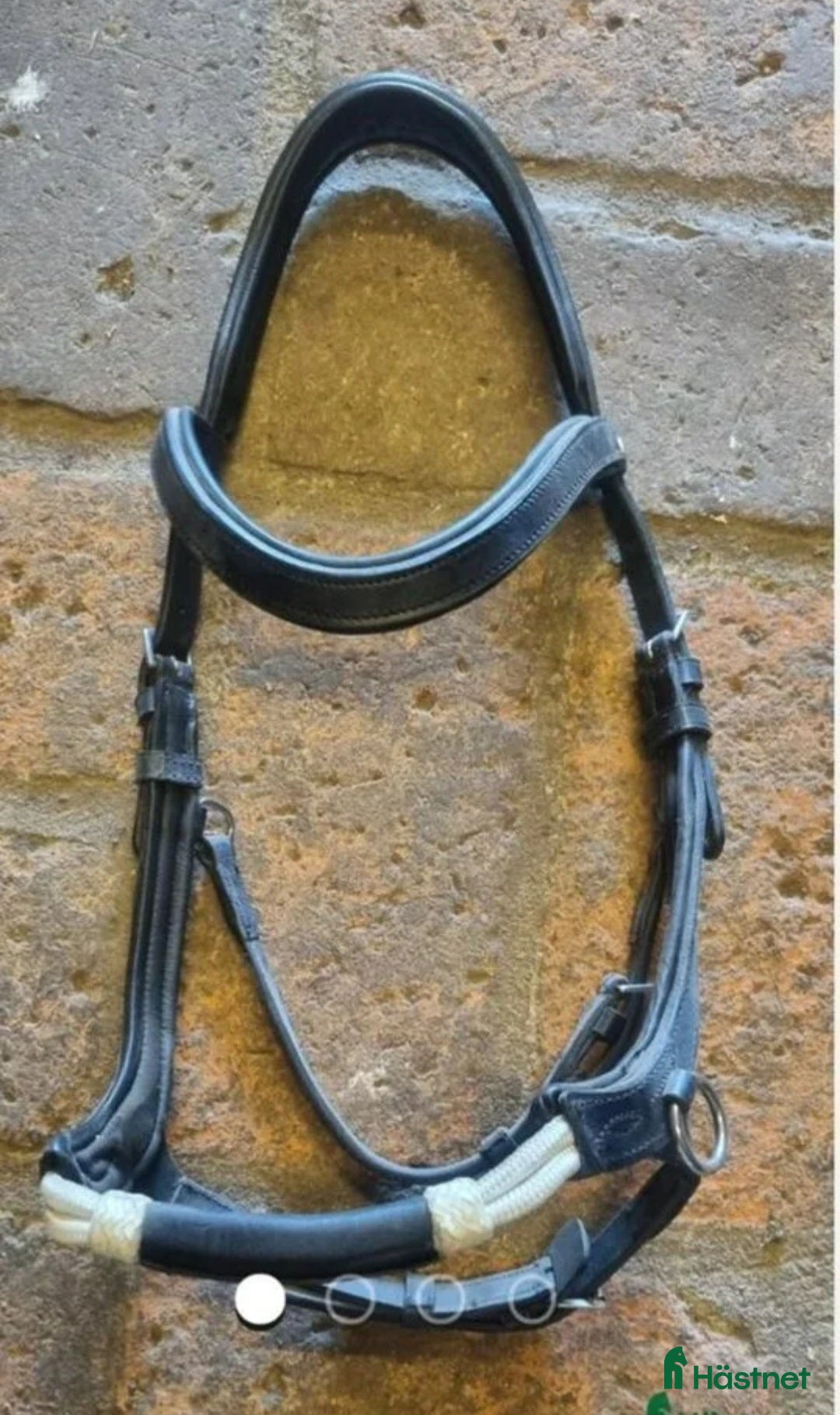 Övrig Hästutrustning hästutrustning till salu: Div utrustning  i Hörby - Annons 1