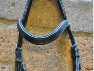 Övrig Hästutrustning hästutrustning till salu: Div utrustning i Hörby - Annons 1