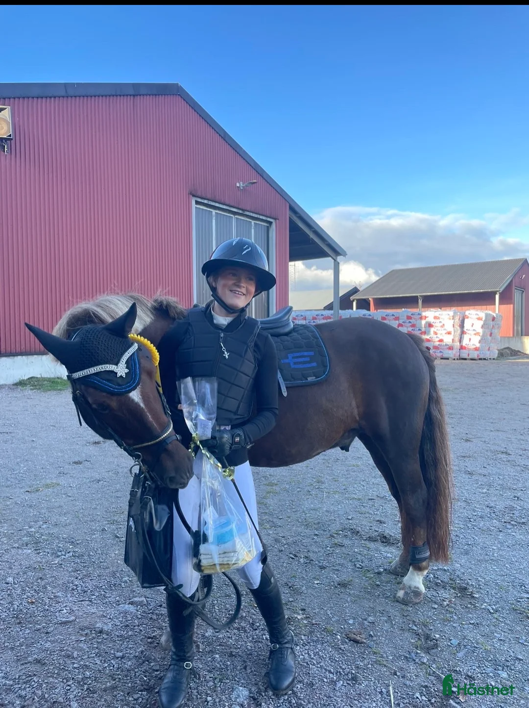 Hoppning hästar till salu: One in A million ponny🌟 i Färjestaden - Annons 8